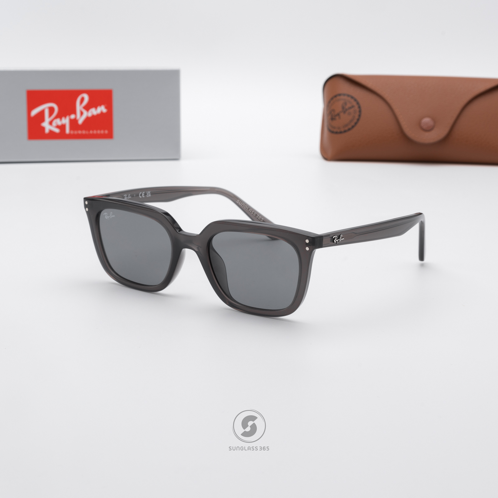 Ray-Ban RB4439D 667587 Transparent Grey