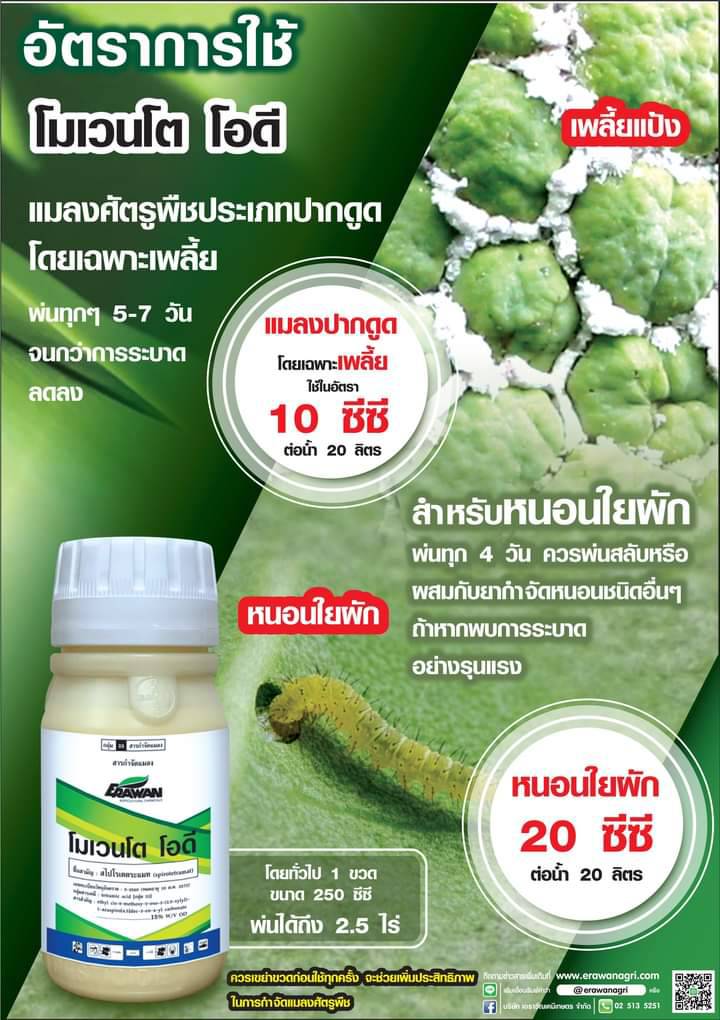 โมเวนโต โอดี