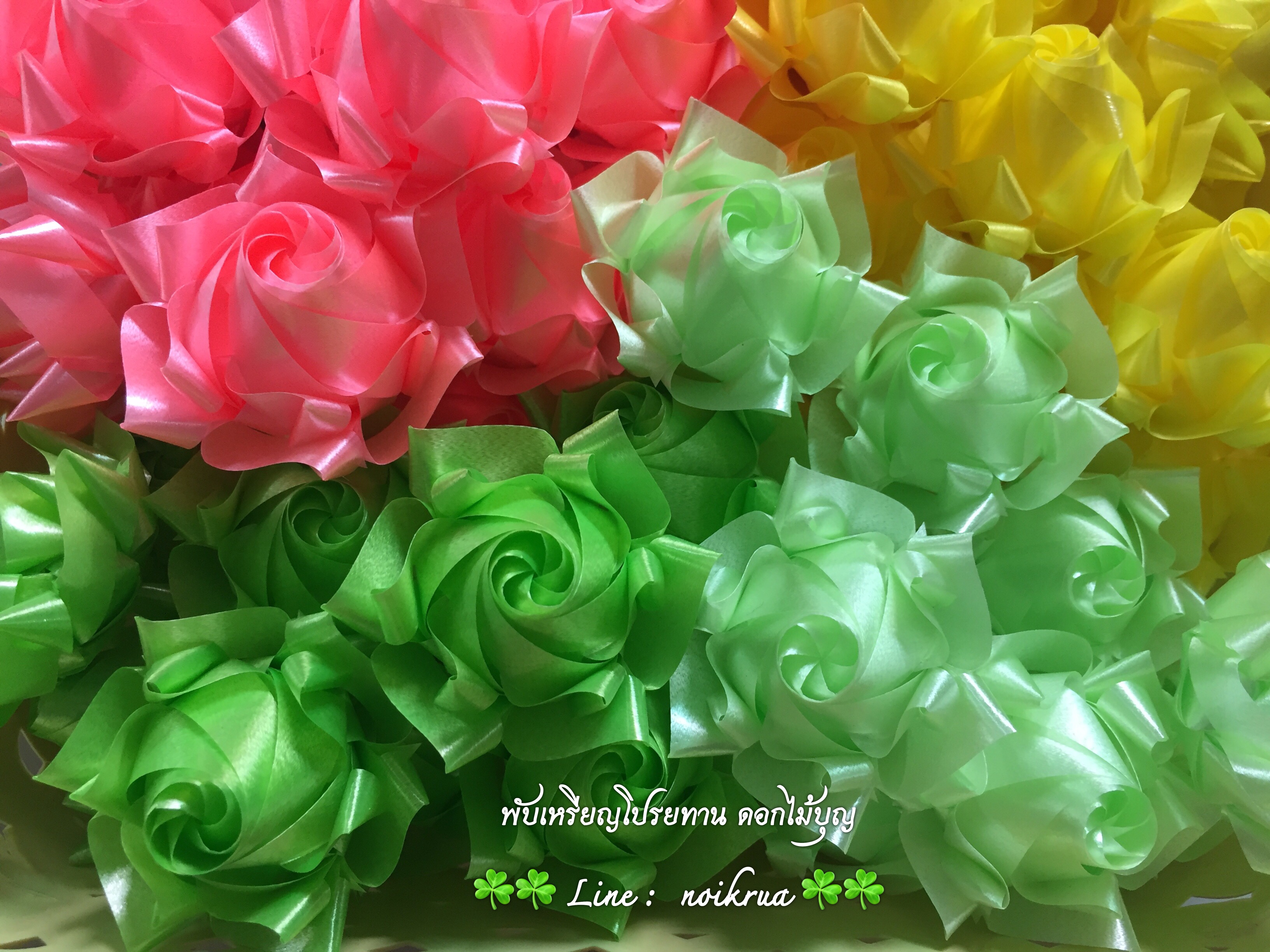 บัวปทุมมามินิ