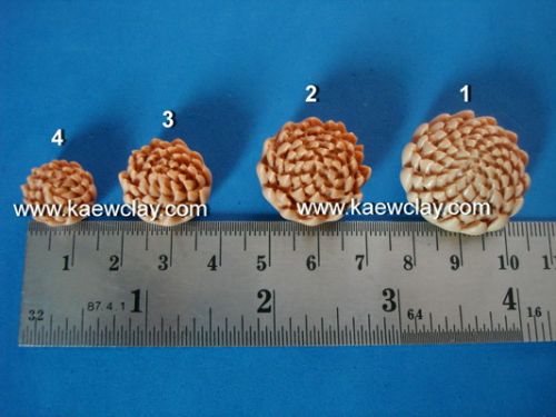 แบบอัดเกสรดอกเยียบีร่า,ดอกมัม (Compression Gerbera, Mum pollen )