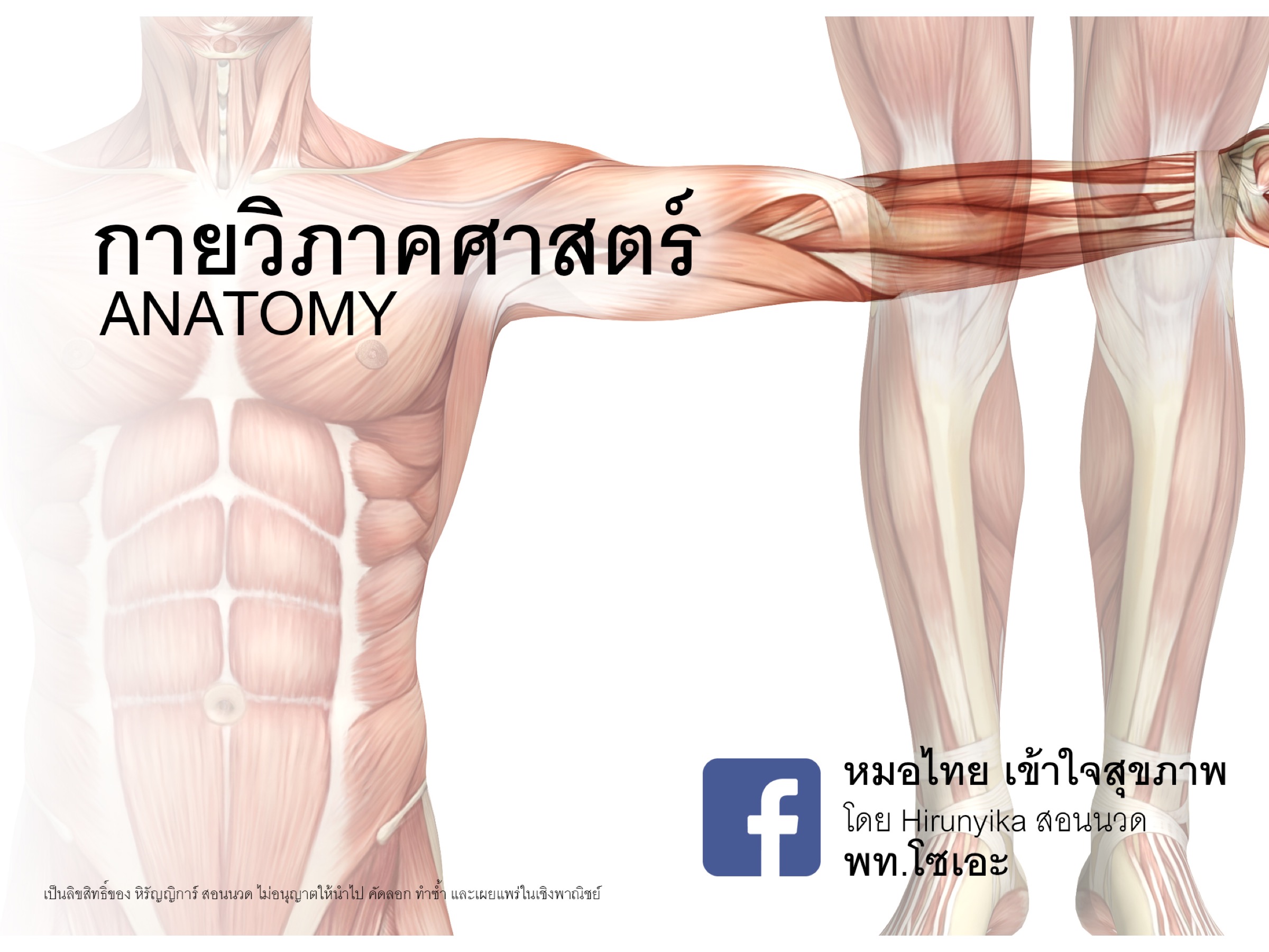 หนังสือกายวิภาคศาสตร์เบื้องต้น