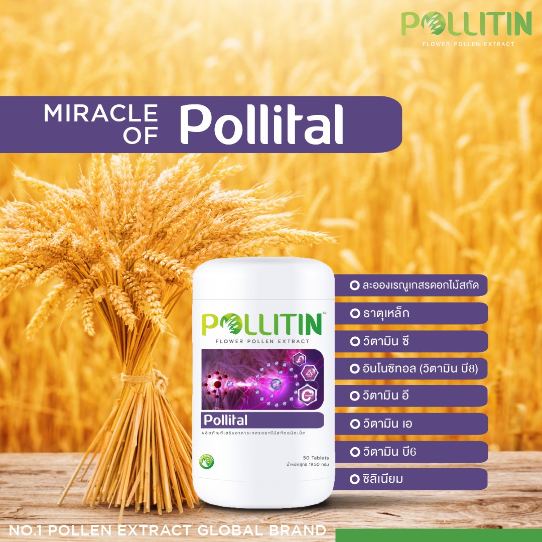 พอลลิทอล Pollital (สีม่วง)