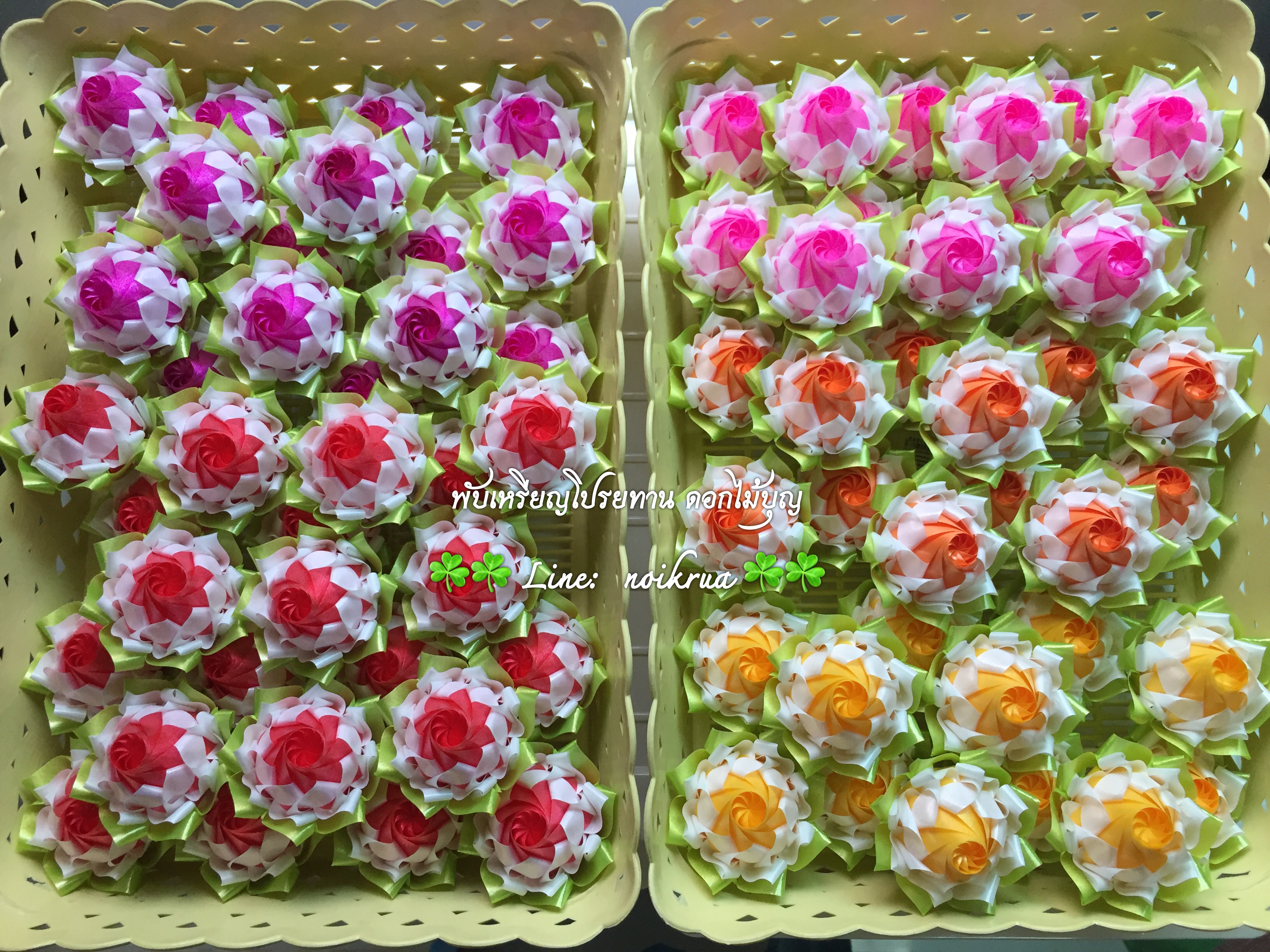 บัวปทุมมาสองสี