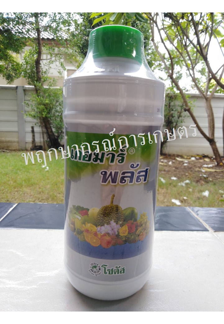 เกอมาร์ พลัส