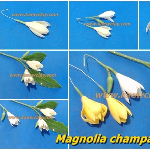 พิมพ์ตัดอลูมิเนียมดอก+ใบจำปี, จำปา(Aluminum mold cutter White Champaka,Magnolia champaca )