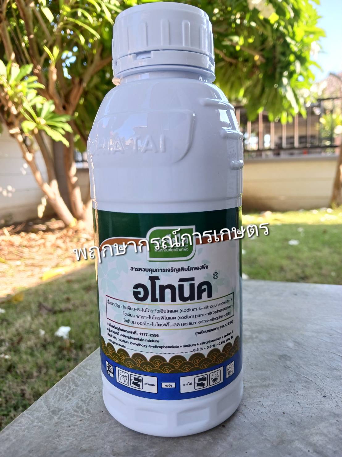 อโทนิค 500 ซีซี