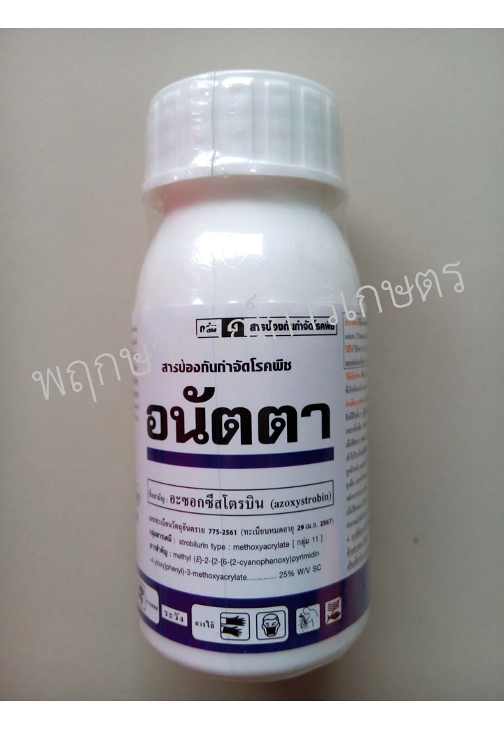 อนัตตา 100 ซีซี