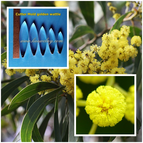 พิมพ์ตัดโกลเด้น วัทเทิ้ล(Cutter Mold golden wattle)