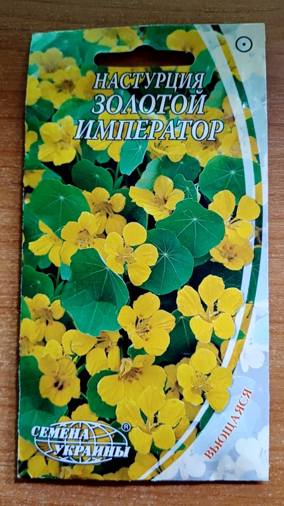 แนสเตอเตียม (Nasturtium - Golden imperator) สีเหลืองทอง / ซอง 1.5 กรัม (Ukraine)*