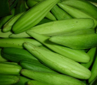 สลิดผล หรือขจรผล (Cowslip creeper) / 30 เม็ด