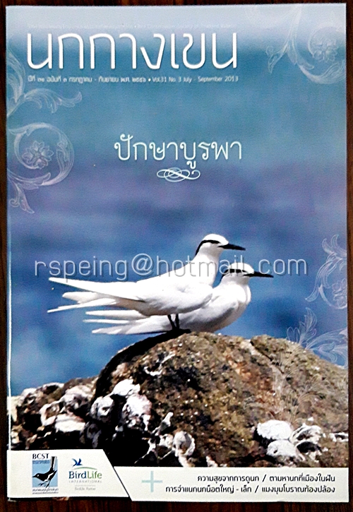 นกกางเขน ปีที่ 30 ฉบับที่ 3 กรกฎาคม-กันยายน พ.ศ.2556