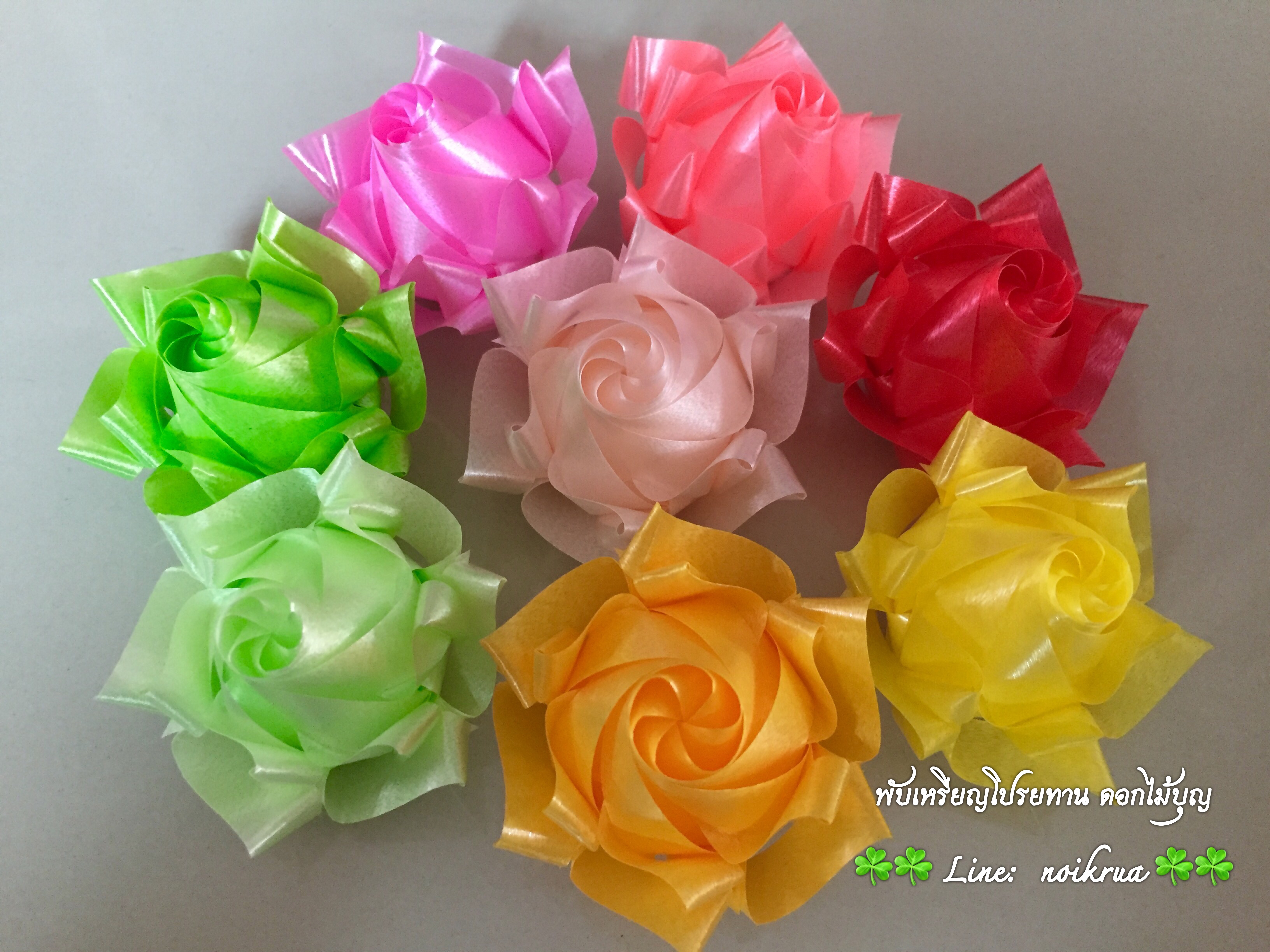 บัวปทุมมามินิ