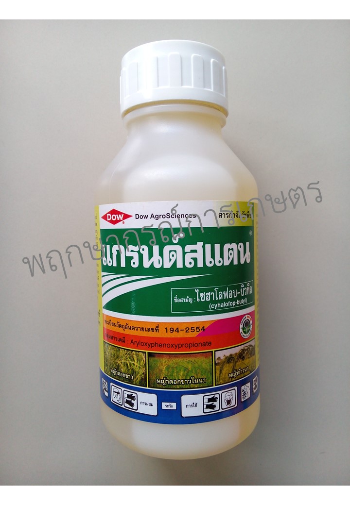 แกรนด์สแตน