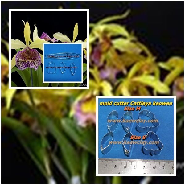 พิมพ์ตัดกล้วยไม้กีโอวี่(Aluminum mold cutter Cattleya keowee .)