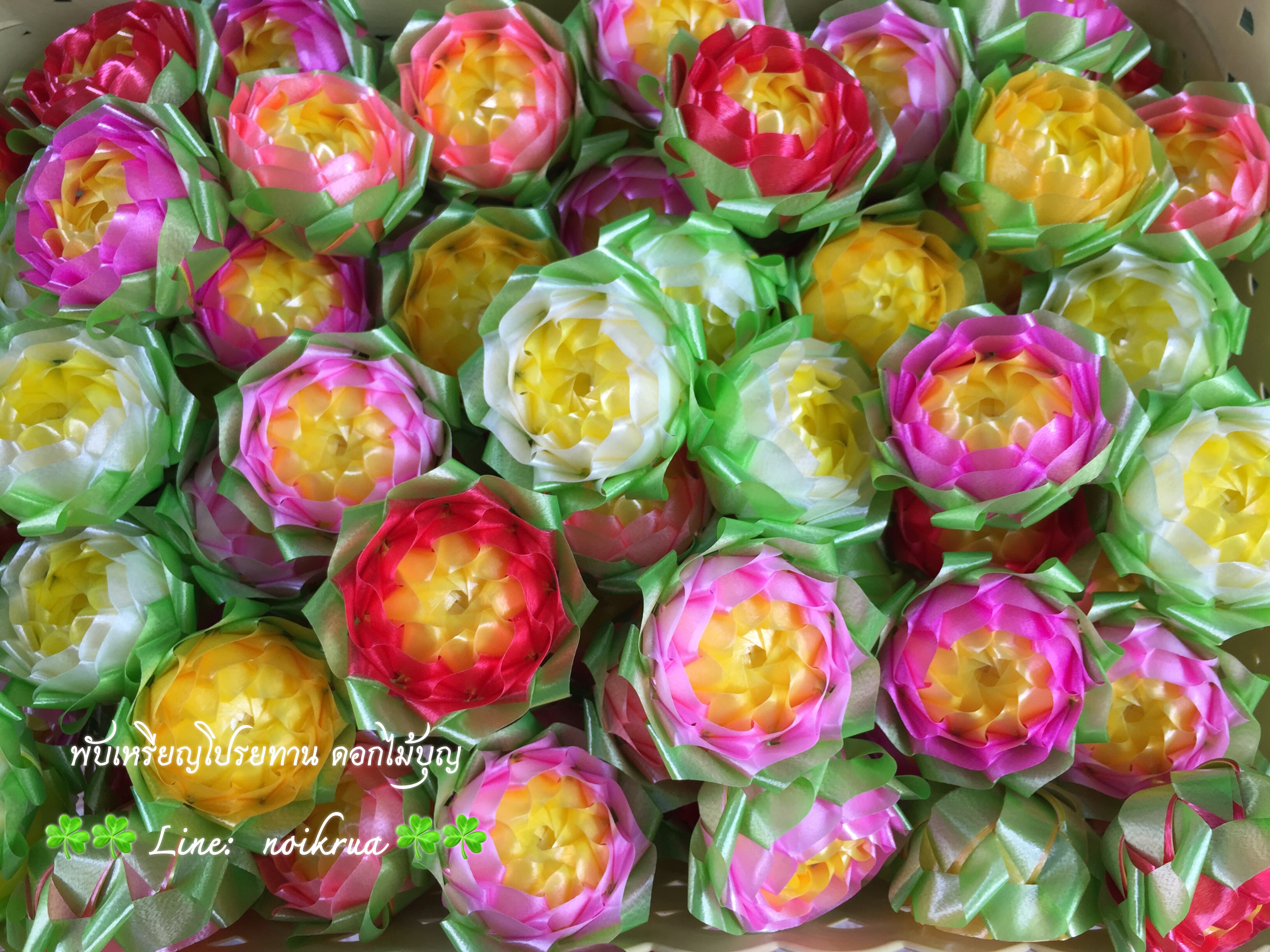 ดอกบัวสวรรค์