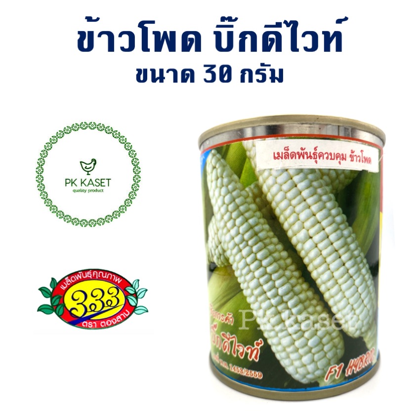 เมล็ดข้าวโพดขาวหวาน F1 บิ๊กดีไวท์ กระป๋อง 30 g ตราตองสาม