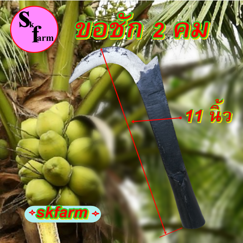 สินค้าใหม่ ขอชัก 2 คม ตะขอสอยมะพร้าว ตะขอเก็บมะพร้าว มีดสอยมะพร้าว มีขอเกี่ยวมะพร้าว ขอสอยมะพร้าว ขนาด 11 นิ้ว