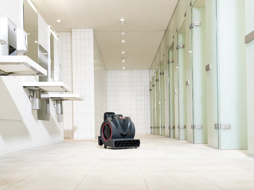 เครื่องเป่าพรม VIPER AIR BLOWER BV3