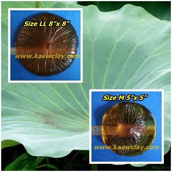 พิมพ์อัดลายใบบัวหลวง (Veiners LOTUS leaves)