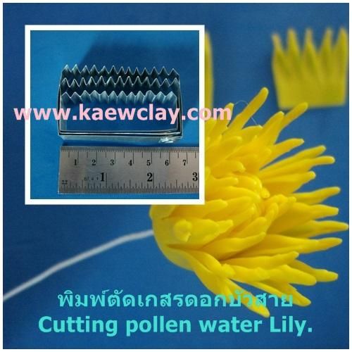 พิมพ์อลูมิเนียมตัดดอกบัวสาย+ใบ(Aluminum mold cutter WATER LILY)