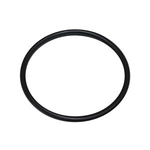 โอริงเวสเซลเมมเบรนโอริง (O-ring) สำหรับ Vessel Membrane ขนาด 4 นิ้ว