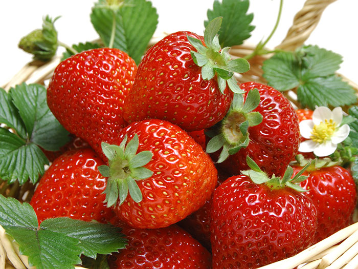 พิมพ์เรซินอัดลายใบสตอเบอรี่(Veiners Strawberry leaf )