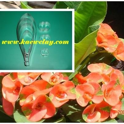 พิมพ์อลูมิเนียมตัดดอก+ใบโป้ยเซียน(Aluminum mold cutter flowers+ leaves the Corow of Thorns)