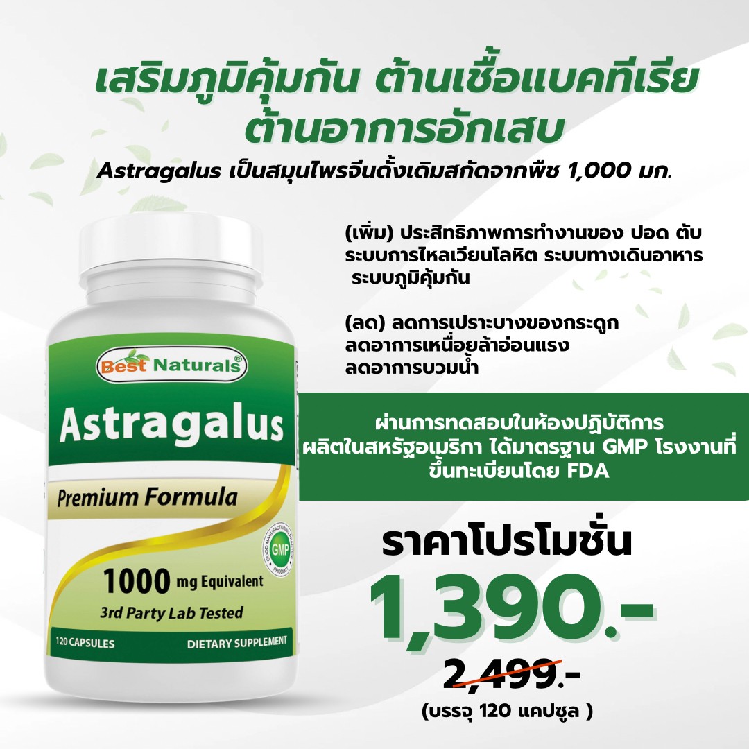 (พร้อมส่งในไทย) เพิ่มเม็ดเลือดขาว Astragalus Immune Support 1000 mg.สมุนไพรจีนดั่งเดิม เพิ่มภูมิคุ้มกัน ต้านการอักเสบ