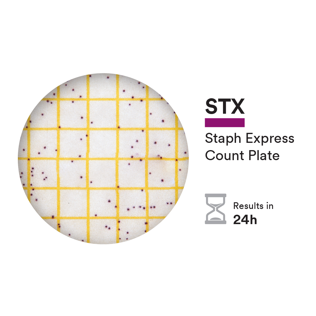 STX แผ่นเพลทอาหารเลี้ยงเชื้อสำเร็จรูป สำหรับทดสอบเชื้อสแตปฟิโลคอคคัส ออเรียส 3M™ Petrifilm™