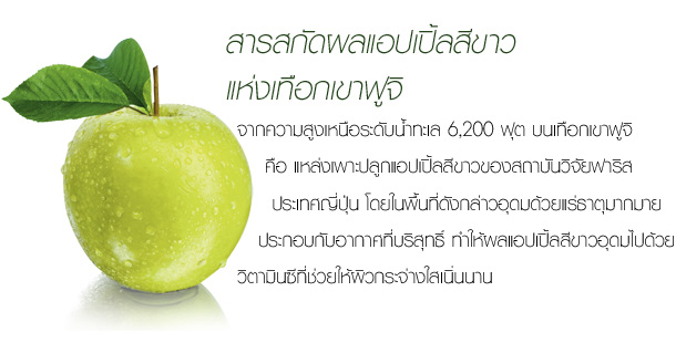 โฟมล้างหน้าเพื่อสีผิวเรียบเนียน ฟาริส บรียังเต้ / Faris Brillantez White Energy Cleansing Foam