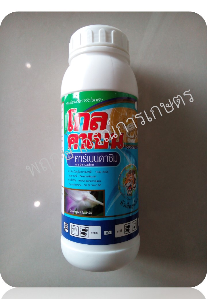 โกลคาเบน