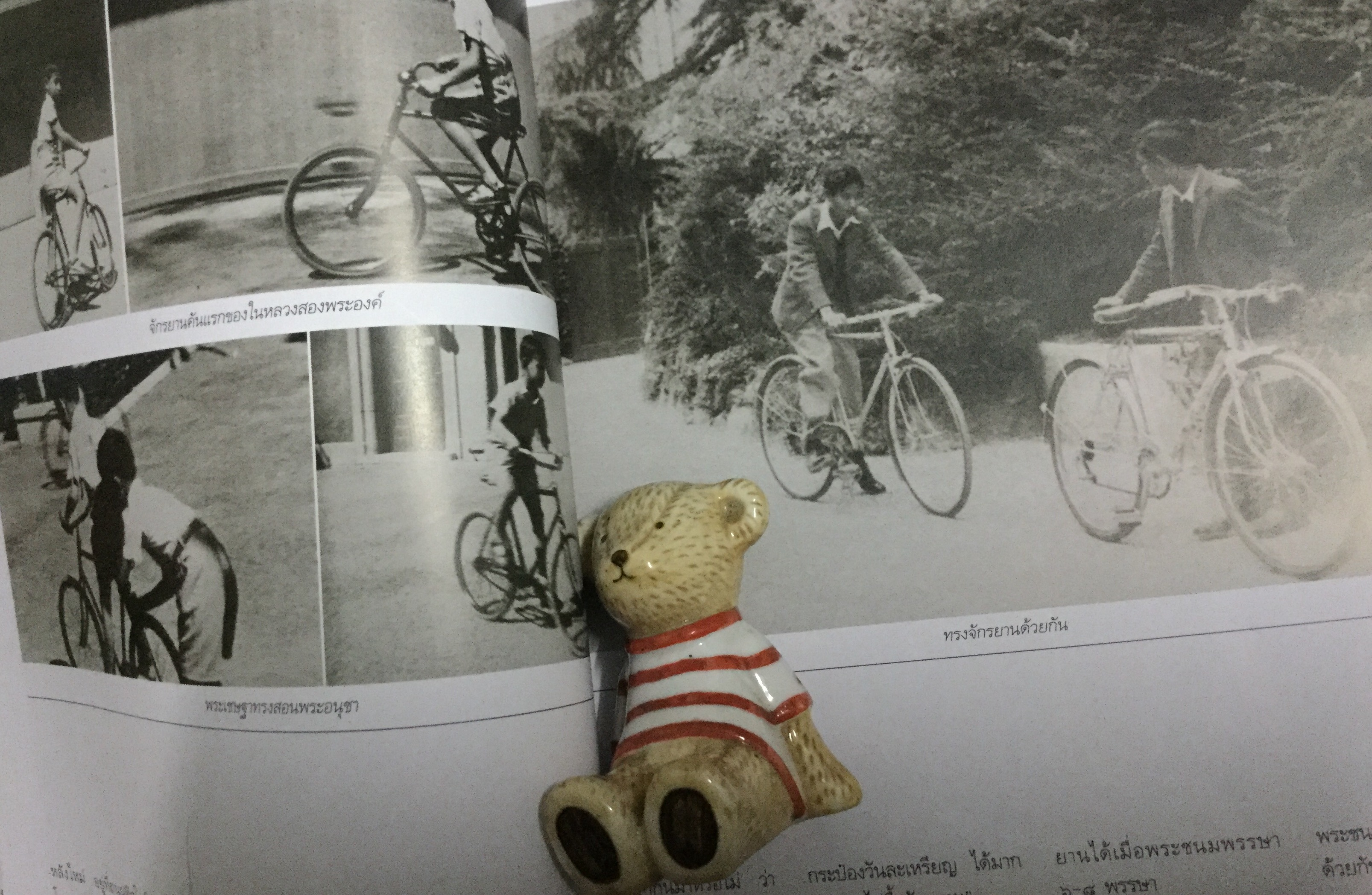 พลอยแกมเพชร ปก รัชกาลที่ ๙ ทรงจักรยาน