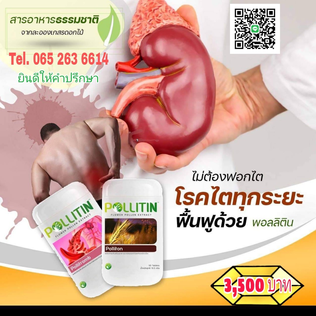 โรคไต ไตวาย ไตเสื่อม ไตอักเสบ