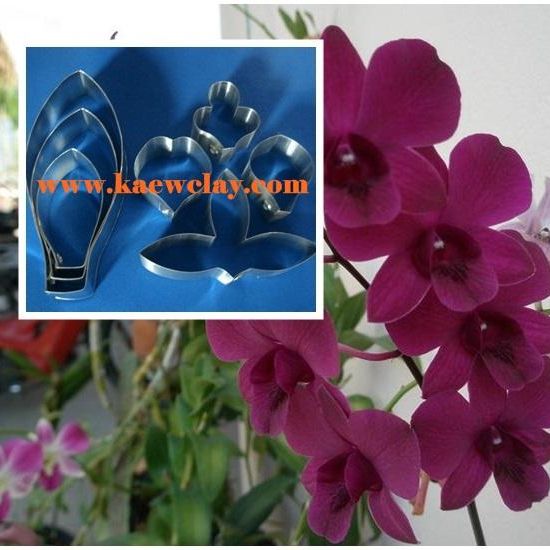 พิมพ์ตัดกล้วยไม้หวาย (Aluminum mold cutter Dendrobium )