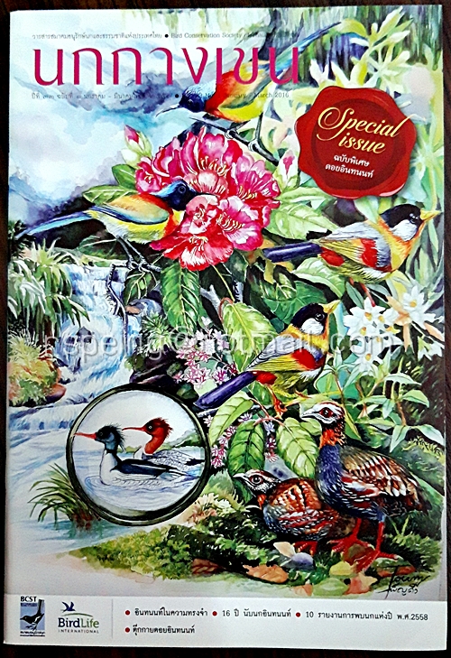 นกกางเขน ปีที่ 33 ฉบับที่ 1 มกราคม-มีนาคม พ.ศ.2559