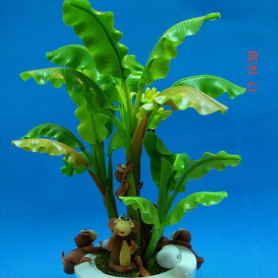 ต้นกล้วย ขนาดกลาง (Medium banana tree)