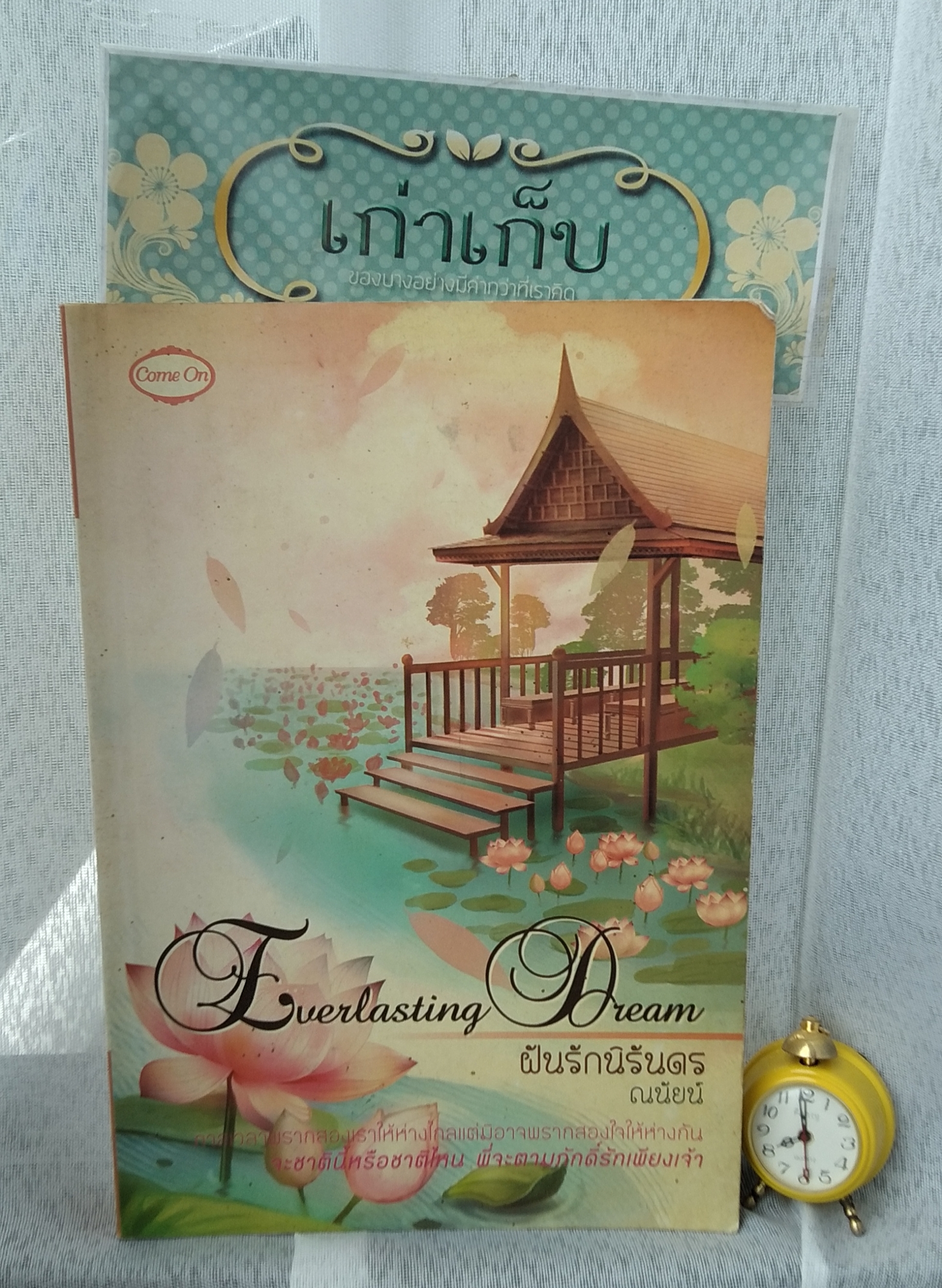 ฝันรักนิรันดร โดย ณนัยน์