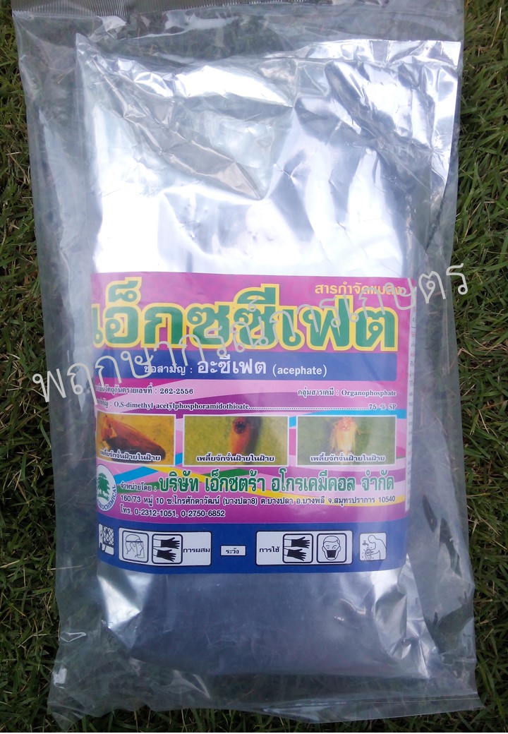 เอ็กซซีเฟต