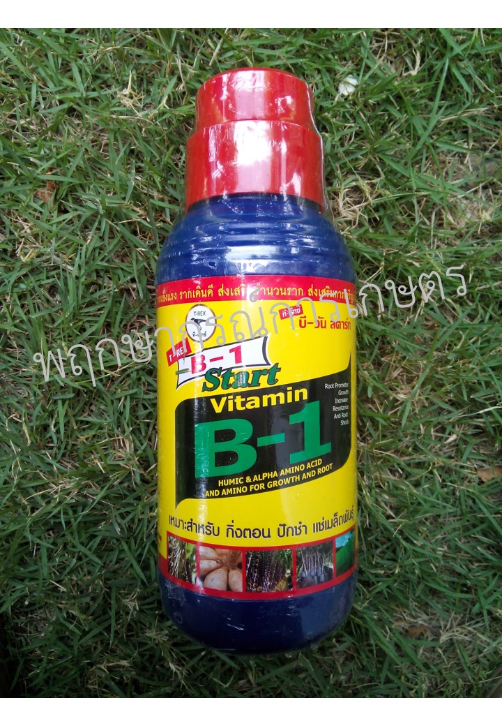 วิตามิน B1