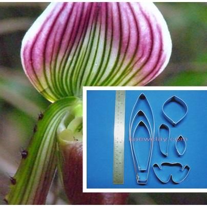 พิมพ์ตัดดอก+ใบรองเท้านารีคางกบ(Aluminum mold cutter Paphiopedilum callosum)