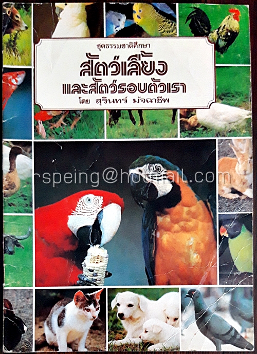 สัตว์เลี้ยงและสัตว์รอบตัวเรา