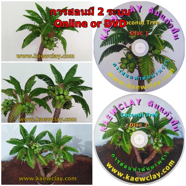 DVD สอนทำต้นมะพร้าว หรือ Link Online(DVD How to make Coconut Tree with KAEWCLAY)