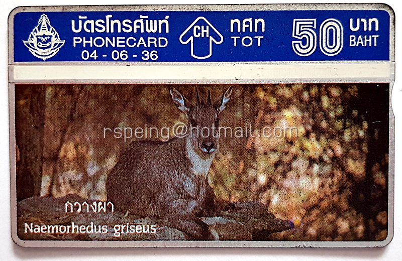 บัตรโทรศัพท์ ทศท. สัตว์สงวน กวางผา 04-06-36