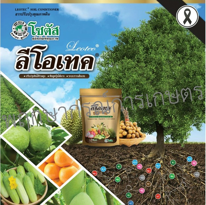 ลีโอเทค