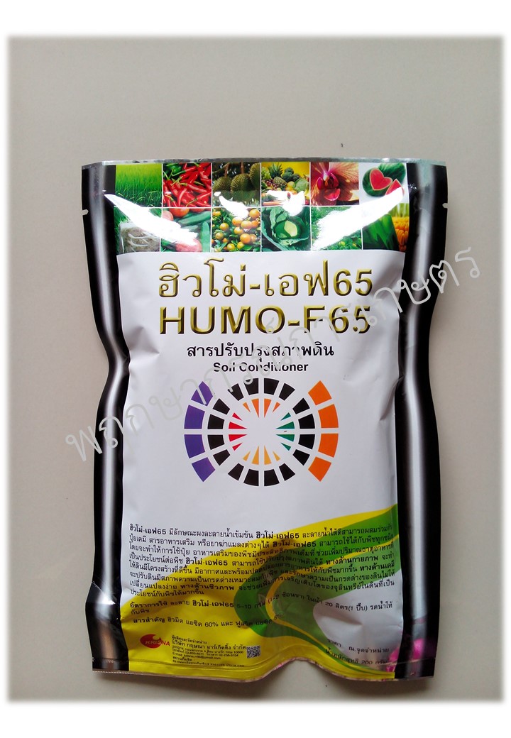 ฮิวโม่-เอฟ65