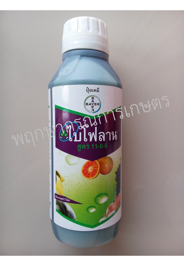 ไบโฟลาน 11-8-6
