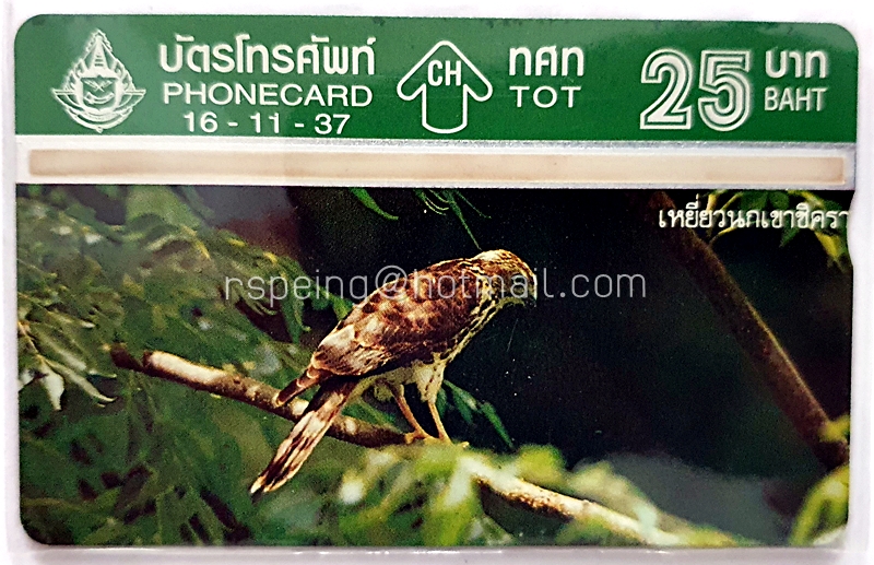 บัตรโทรศัพท์ ทศท. นก เหยี่ยวนกเขาชิครา 16-11-37