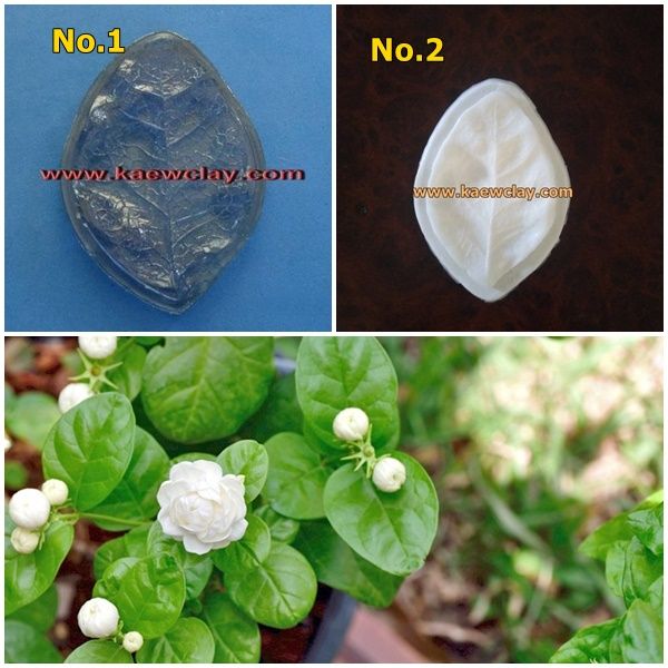 พิมพ์อัดลายเรซิน,ซิลิโคน ใบมะลิ(Veiners Jasmin leaf )