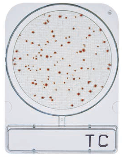 Compact Dry TC (Total viable count)