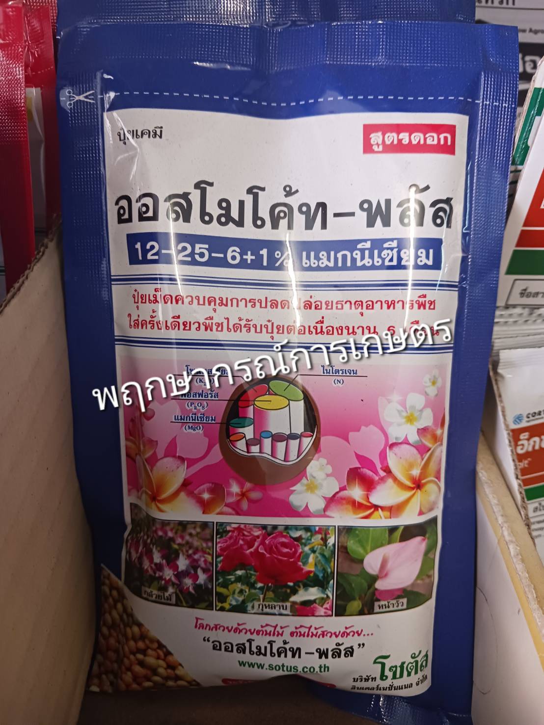 ออสโมโค้ท พลัส 100 กรัม